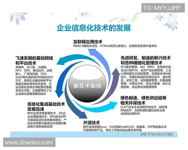 互联网时代数字化转型助力企业创新与高效发展新机遇